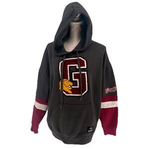 BoxLunch Harry Potter Gryffindor Hoodie Sweatshirt Gray Hoodie Wizard World